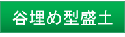 谷埋め型盛土