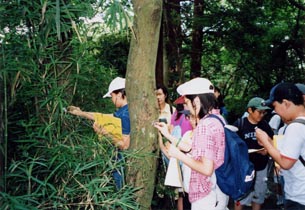 五感を使った自然観察