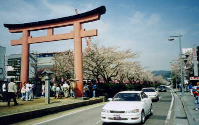 dankazura