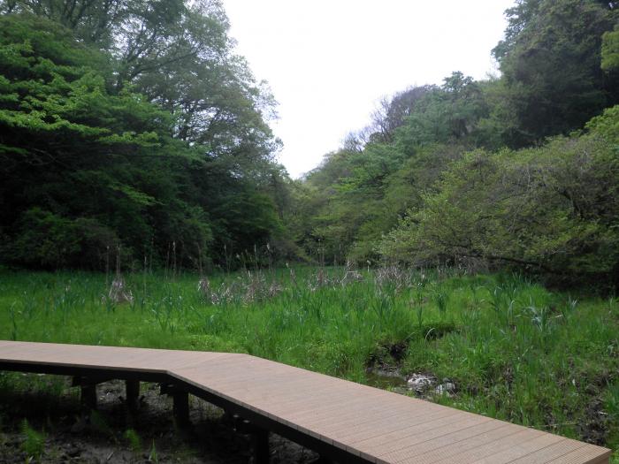 hiromachiryokuchi