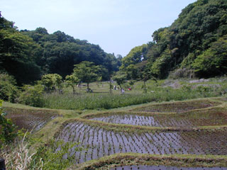 鎌倉中央公園野外体験広場