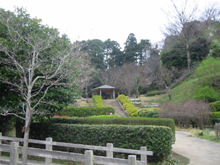 鎌倉中央公園生垣見本