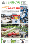 6月15日号(NO.1317)