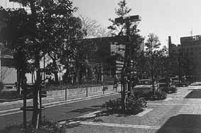 交通施設整備状況の写真