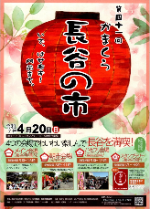 hasenoichi41